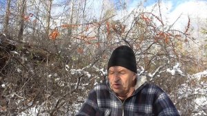 Поиски в тайге пропавшей геологини