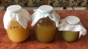 Домашний ЯБЛОЧНЫЙ УКСУС готовим сами. Часть 2. Промежуточный этап.