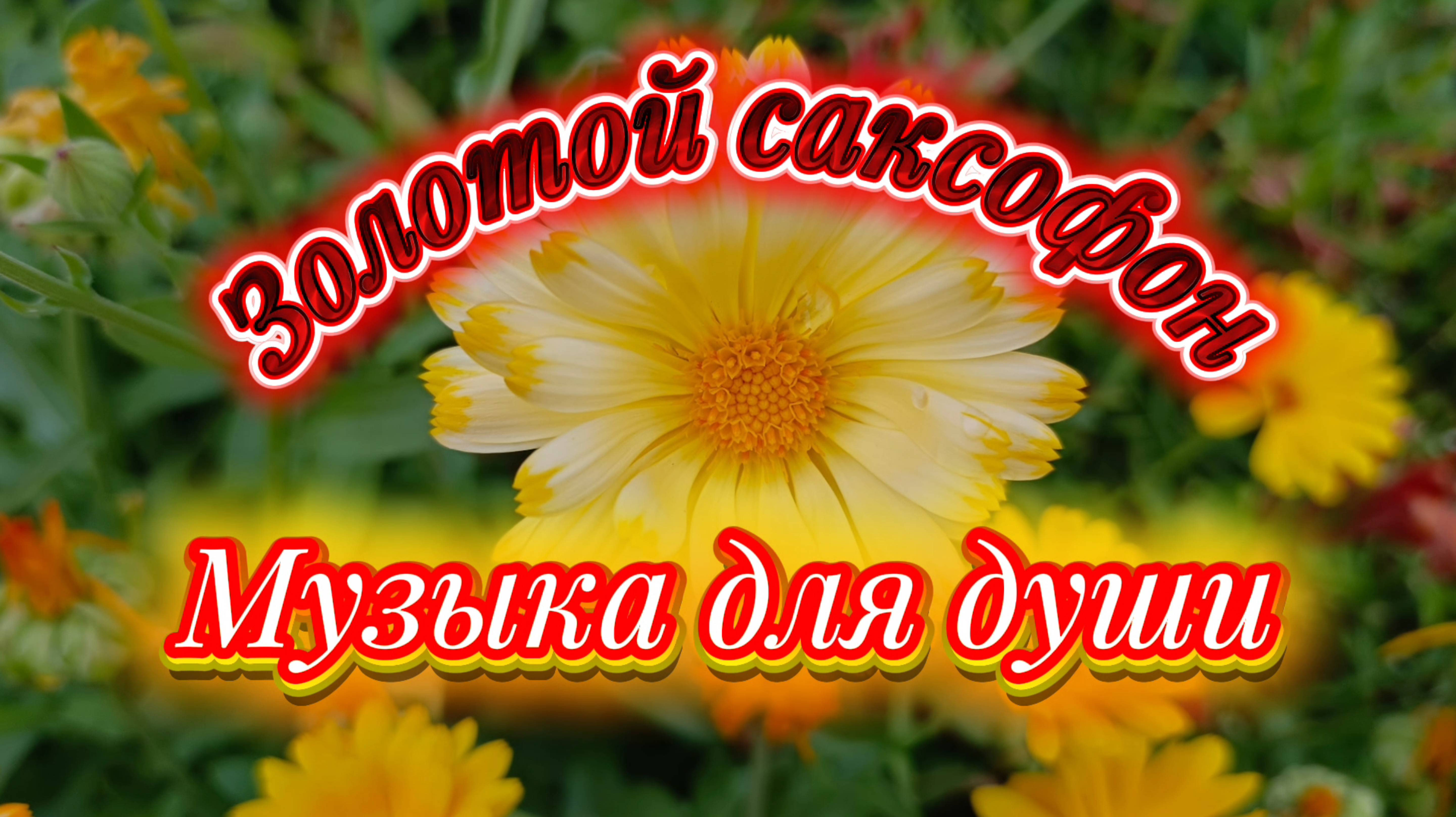 Музыка для души. Золотой саксофон 🎷 смотреть онлайн