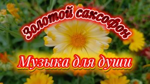 Музыка для души. Золотой саксофон 🎷
