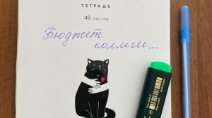 #БЮДЖЕТ КОЛЛЕГИ 💥 ЗАКРЫВАЕМ ДОЛГИ☀️ ПЕРВАЯ ДОСРОЧКА КРЕДИТ  1 !!!