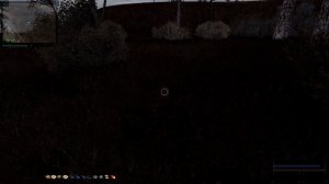 S.T.A.L.K.E.R. - В Аду Псы - Цветы для Олеси