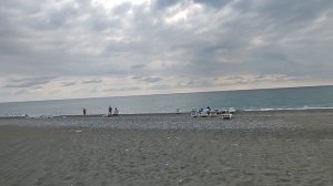 Абхазия Цитрусовый совхоз Пансионат Сосновая роща Цены на фермерские продукты 20 августа 2025 г.