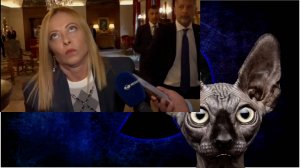 Посыпались гарантии о безопасности / Кот Костян