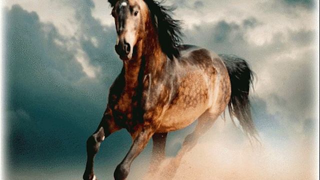 Шли по дороге доброта и счастье... смотреть онлайн