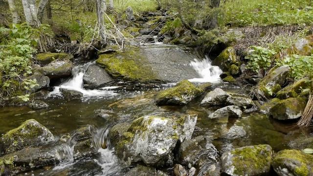 Лесной ручей, водопад, благотворные звуки природы, исцеляющие, гармонизирующие вибрации