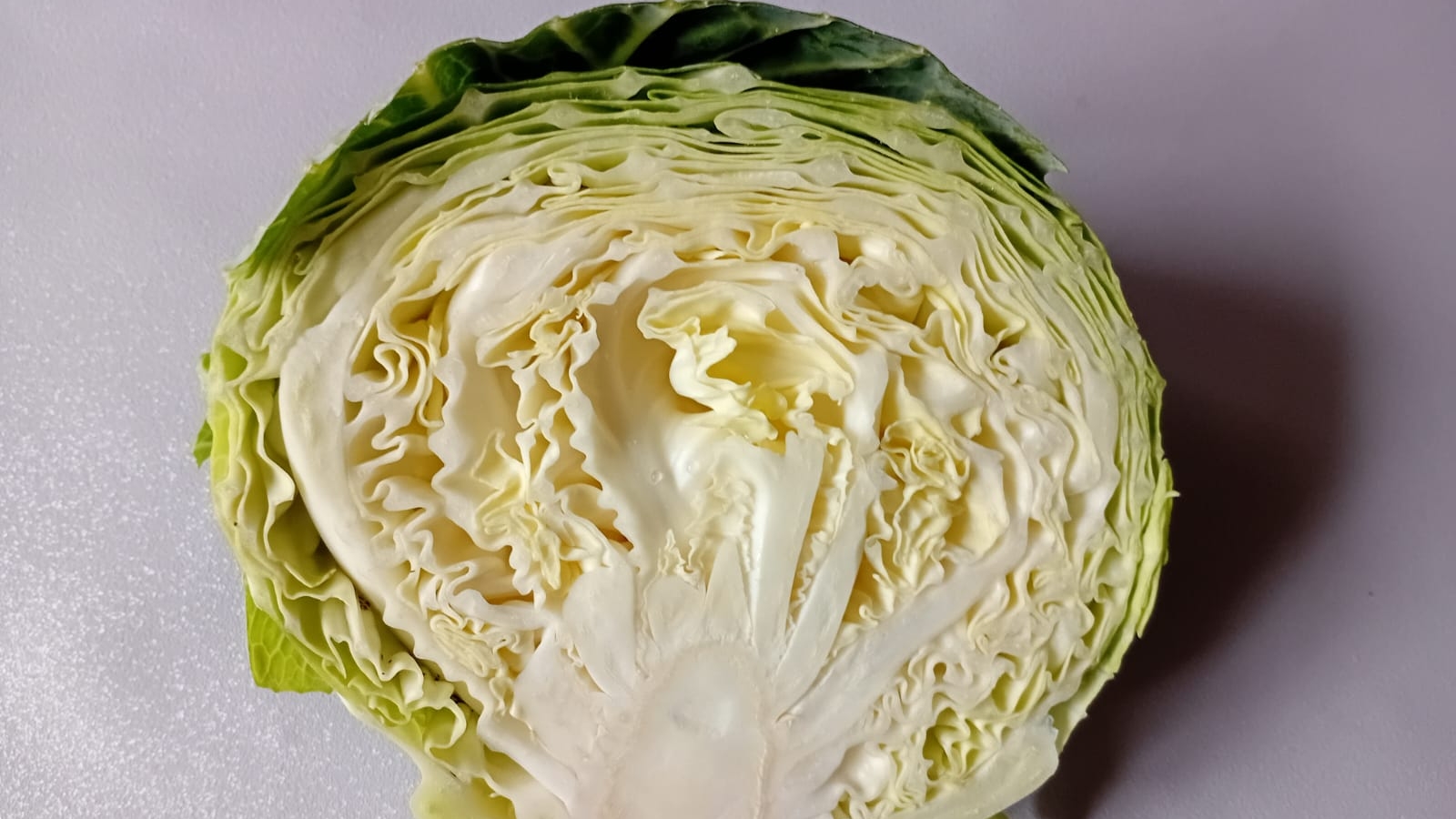 ЩИ из СВЕЖЕЙ КАПУСТЫ ПОШАГОВЫЙ РЕЦЕПТ смотреть онлайн