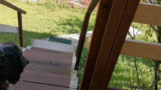 СОЧИ ГОРНОЕ ЛОО. ДЕНЬ ОФИЦЕРА 21.08.2025 смотреть онлайн