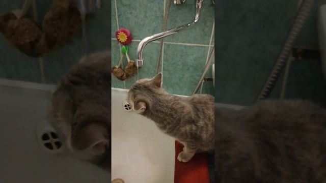 Очень пить хочется смотреть онлайн