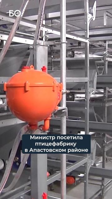 Татарстан нажарит картошки фри для Burger King и Rostics. Как Оксана Лут открыла фабрику за 2 млрд смотреть онлайн