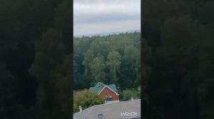 СПАСЕНИЕ УРАЛЬСКОГО ЛЕСА...видео от Анны...ИНГА ХОСРОЕВА.