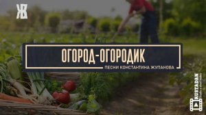 ОГОРОД - ОГОРОДИК  Веселая забавная песня о прелестях огорода)_ Константин Жупанов