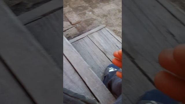 VID_20250821_172214.mp4