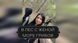 В ЛЕС С ЖЕНОЙ. МОРЕ ГРИБОВ