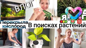 Перекрыла кислород🎈🐟. Мои находки в пятерочке, магните  и фикспрайс 🛒🏪