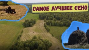 Сено в стогах самое лучшее! Деревня Окунево сено стога. Сенокос 2025.