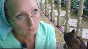 Видео привет с 6 соток 20 августа 2025 года