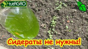 СЕКРЕТ ПЛОДОРОДИЯ: никаких СИДЕРАТОВ, а простой раствор. Раз опрыскал и почва снова плодородная!