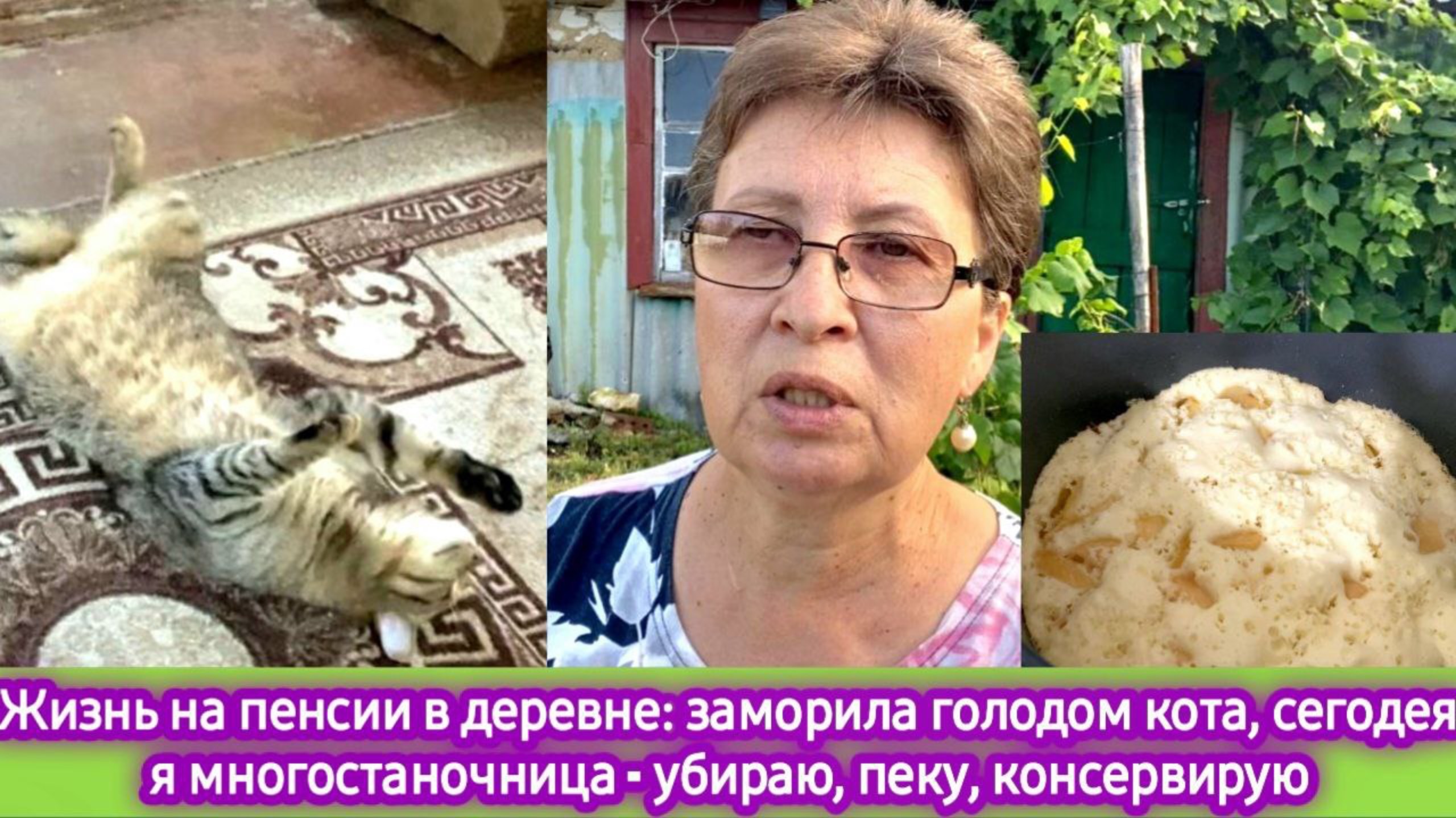 Жизнь в деревне: заморила голодом кота, сегодня я многостаночница - убираю, пеку, консервирую смотреть онлайн