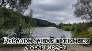 Микроджиг, ловля окуня. Работала одна приманка