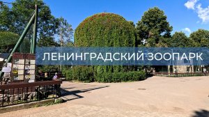 Ленинградский зоопарк. Санкт-Петербург (лето)
