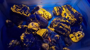 Поиск минералов с ультрафиолетовым фонарём. Содалит.