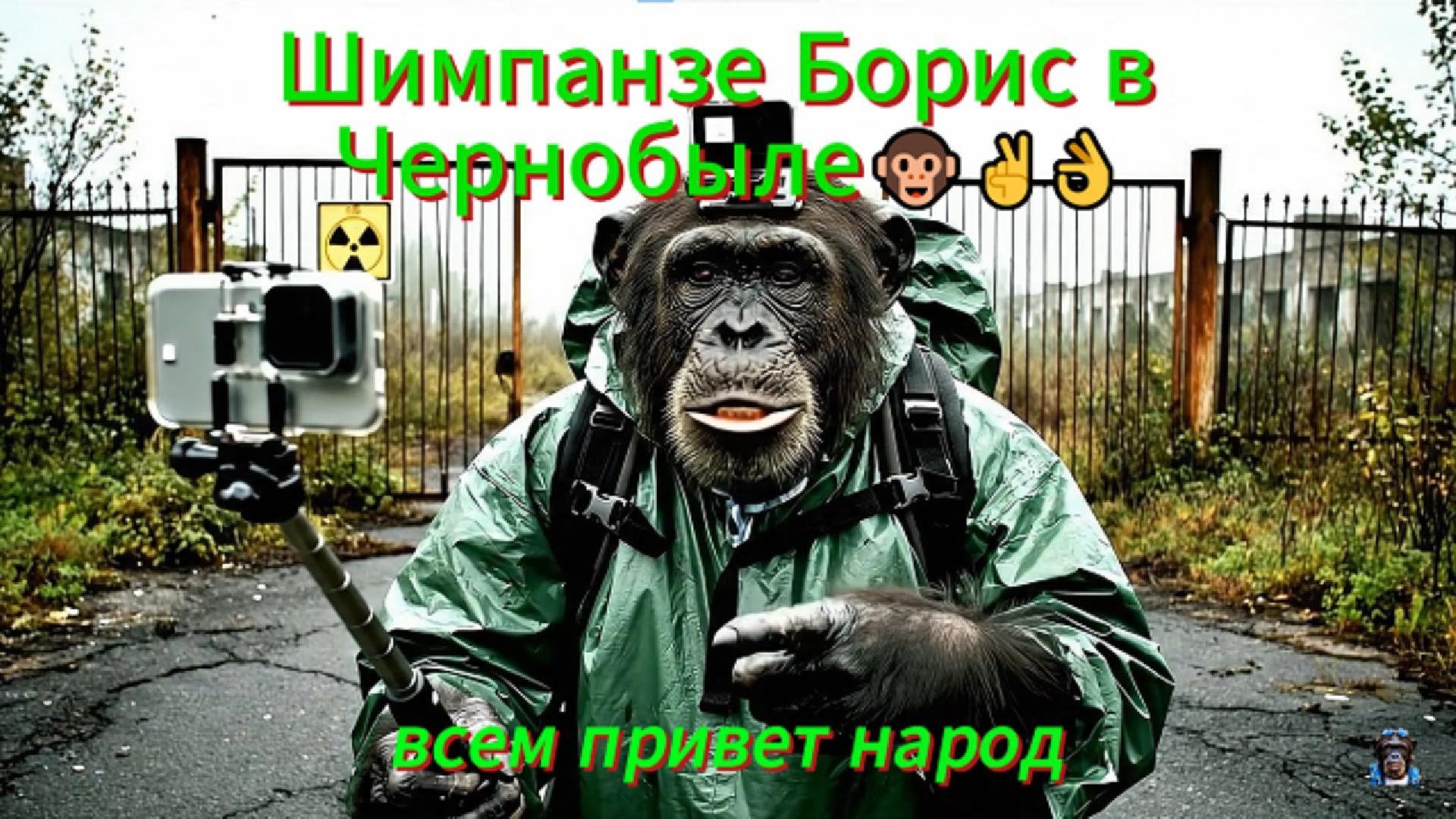 "Шимпанзе Борис в Чернобыле 🐒 | Смешное видео 2025 | Приколы, мемы и исследования зоны отчуждения" смотреть онлайн