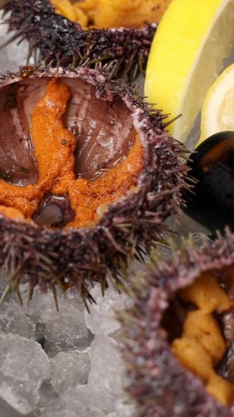 thumb-Еж морской открытый в панцире охлажденный 2шт-3}