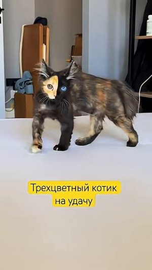 Вот такой я😻