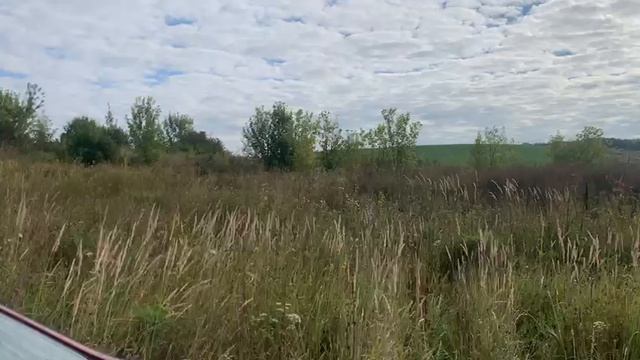 WhatsApp Video 2025-08-21 at 10.06.00 смотреть онлайн