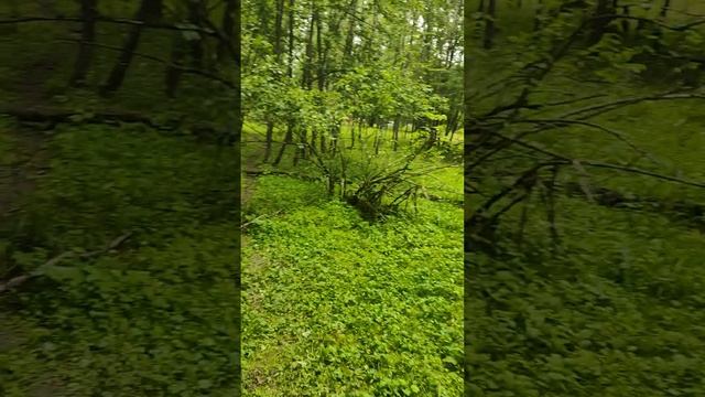 17-20.07.25 Хатечная кому за 200 хайтек калужская область смотреть онлайн