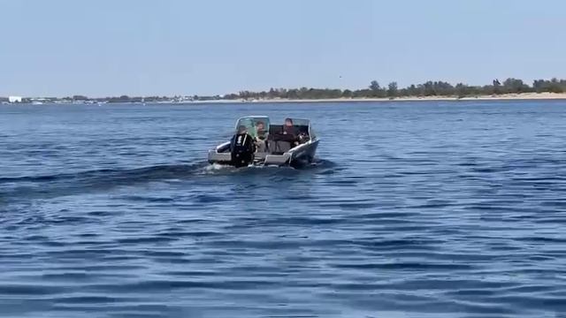 Albakore 600 C Mercury 250 VERADO V8 😎