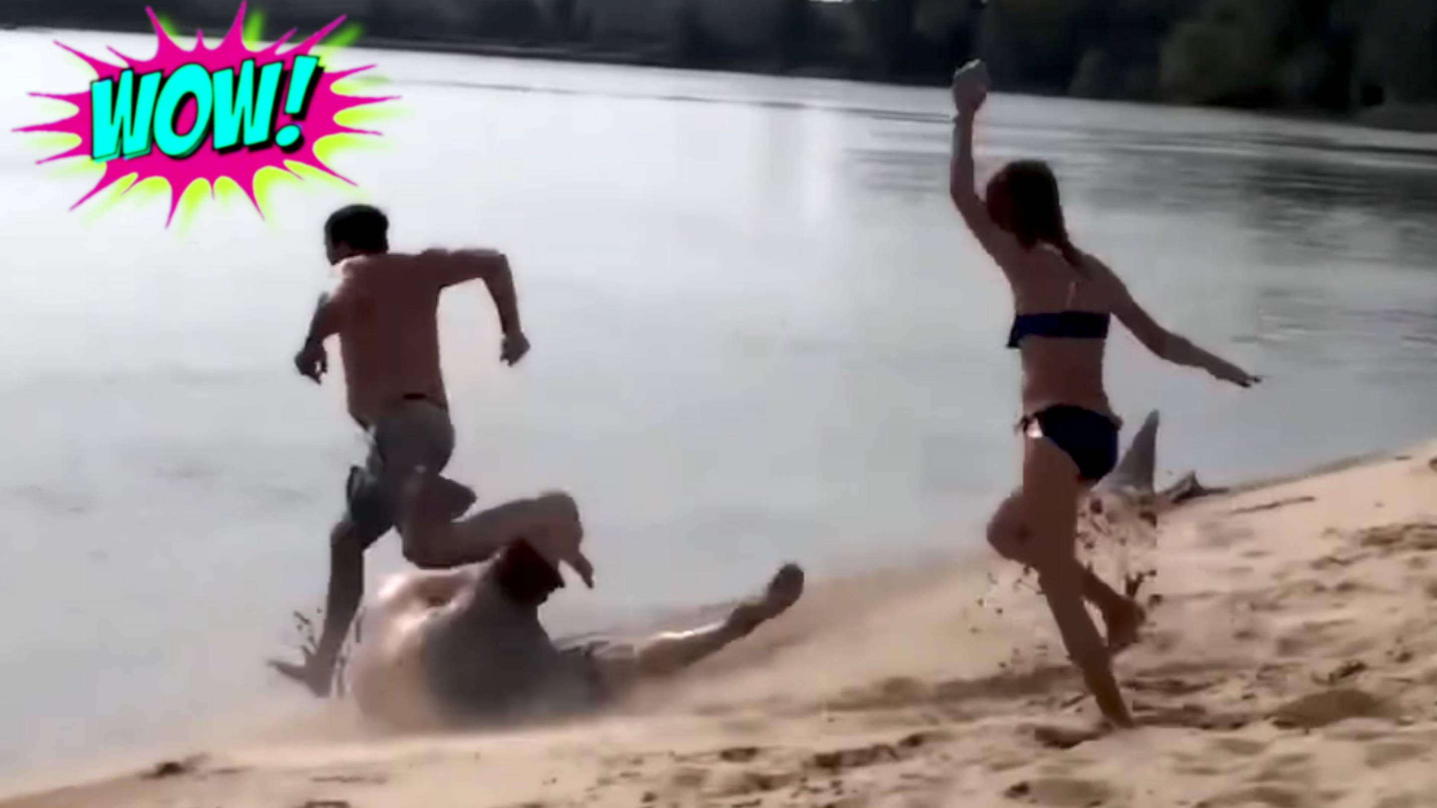 "СМЕШНЫЕ ВИДЕО: ПРИКОЛЫ, КОТОРЫЕ НЕЛЬЗЯ ПРОПУСТИТЬ" смотреть онлайн