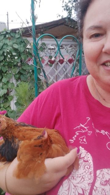 Моя курочка))) смотреть онлайн