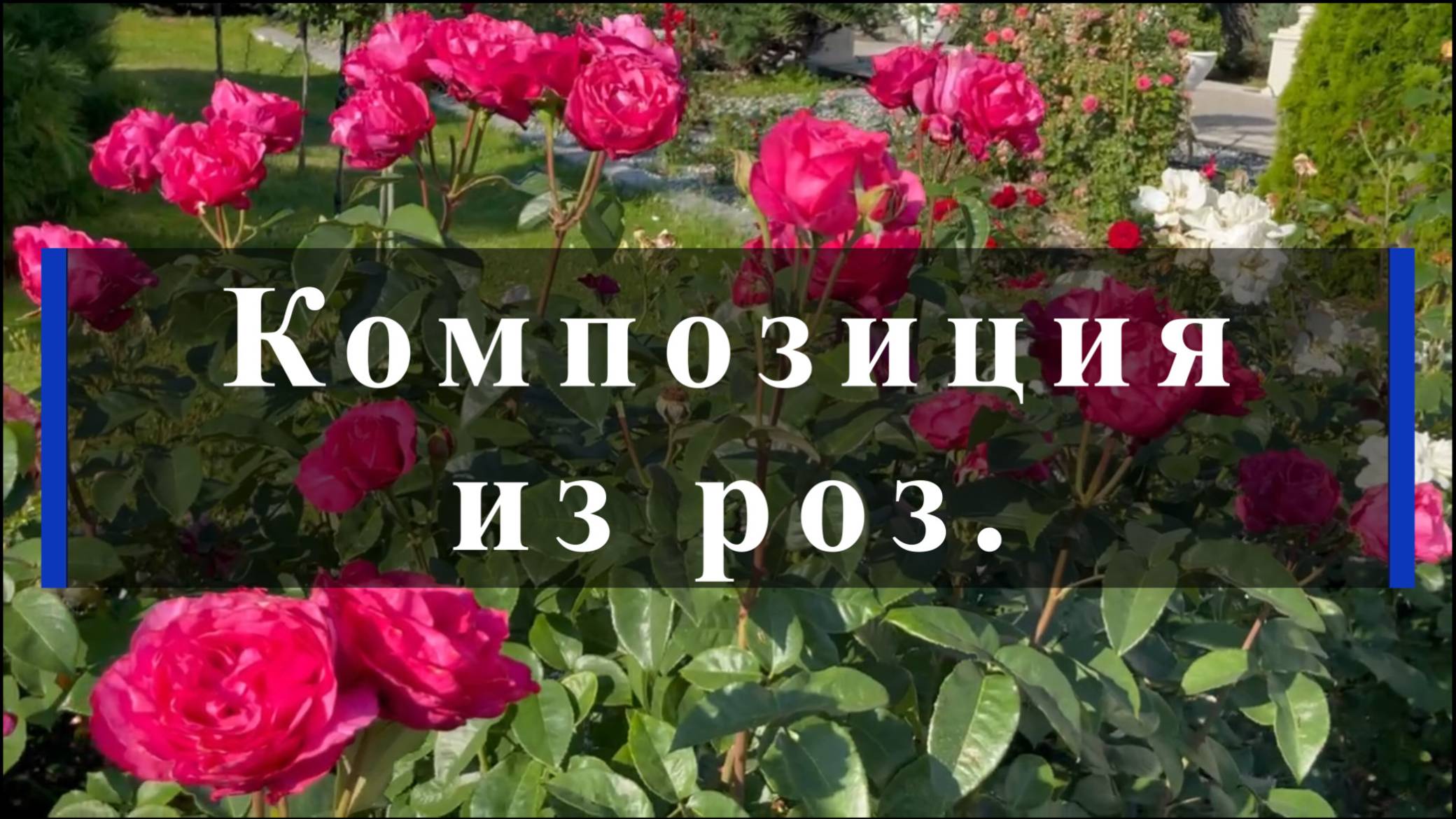 Композиция из роз. смотреть онлайн