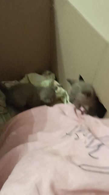 Мы боимся вылезать в огромный мир)