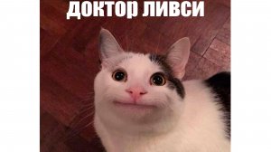 ДОКТОР ЛИВСИ