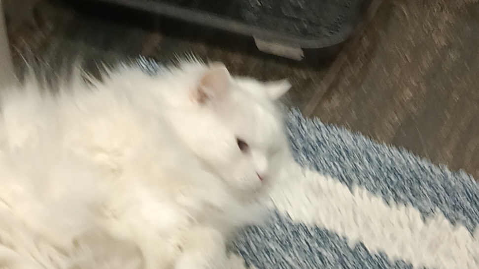 учусь смотреть онлайн