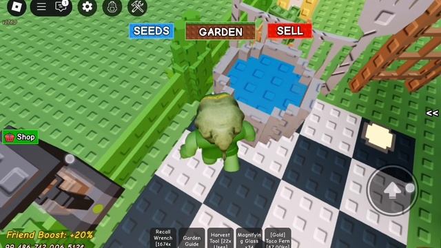 обзор на сад в Grow A Garden