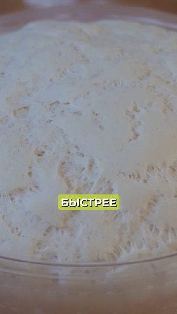 Пиво вместо муки? Что станет с вашей закваской! смотреть онлайн