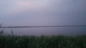 VID_20250820_194452.mp4