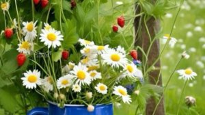 Красивые пожелания доброго и прекрасного дня 🌞  Музыкальная открытка