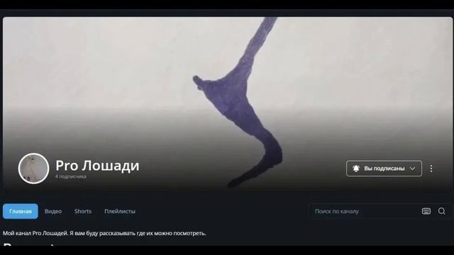 Мы Шляйх блогеры Rutube.