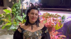 Страшно интересные комнатные растения