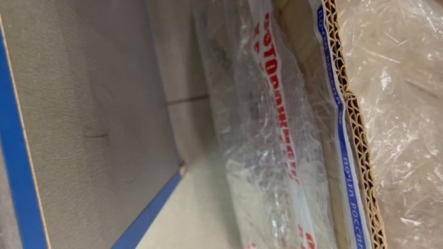 WhatsApp Video 2025-08-21 At 12.30.14