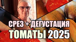 Обзор томатов в срезе. Дегустация 2025.