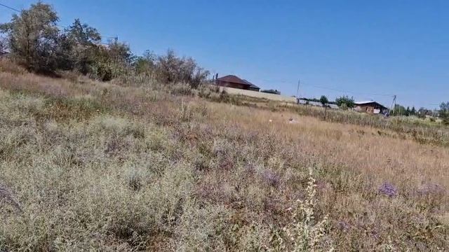 9205737.1 смотреть онлайн