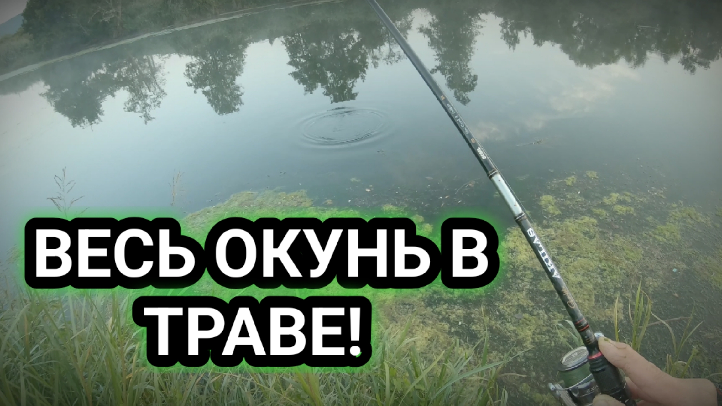 Ловля окуня на спиннинг в траве! Окунь любит блесну вертушку! Именно эта приманка ловит окуней летом смотреть онлайн