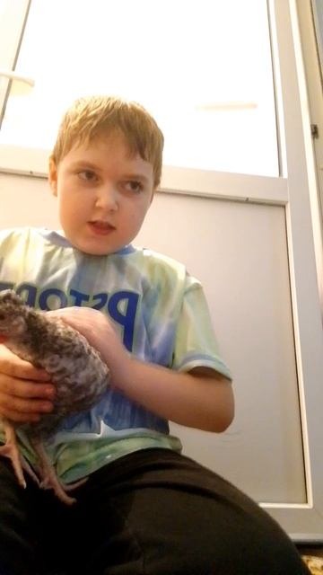 видео для сервилатика🕊