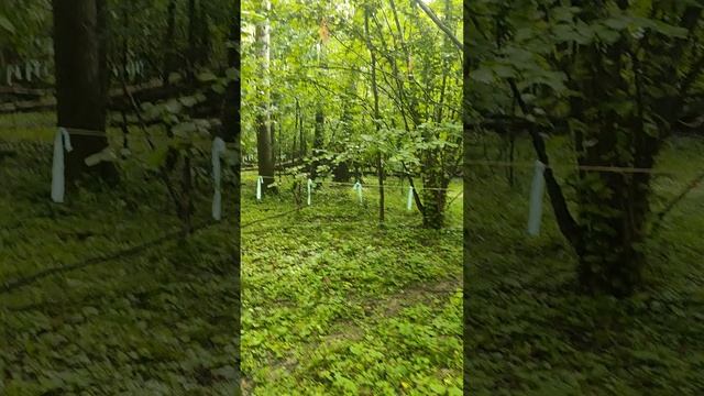 17-20.07.25 Хатечная кому за 200 хайтек калужская область смотреть онлайн